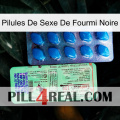 Black Ant Sex Pills new02